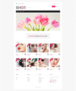 PrestaShop e-shop šablona na téma Umění a fotografie č. 47317