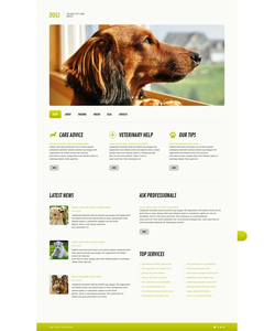 WordPress šablona na téma Zvířata č. 45579