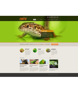 Moto CMS HTML šablona na téma Zvířata č. 46308