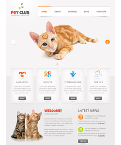 Moto CMS HTML šablona na téma Zvířata č. 41013