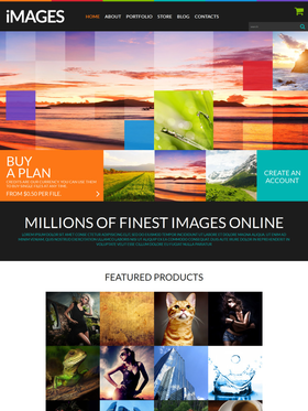 WooCommerce e-shop šablona na téma Umění a fotografie č. 51860