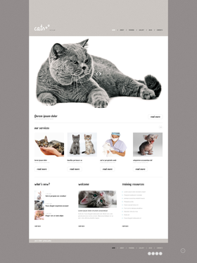 WordPress šablona na téma Zvířata č. 47538