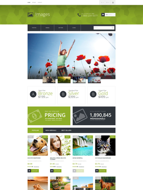 PrestaShop e-shop šablona na téma Umění a fotografie č. 52107