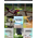 Magento e-shop šablona na téma Interiér a nábytek č. 61190