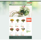 PrestaShop e-shop šablona na téma Květiny č. 41216