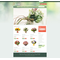 PrestaShop e-shop šablona na téma Květiny č. 41216