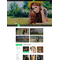 Zen Cart e-shop šablona na téma Umění a fotografie č. 50991