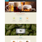 Moto CMS HTML šablona na téma Pivovar č. 54676