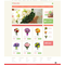 OpenCart e-shop šablona na téma Květiny č. 49087